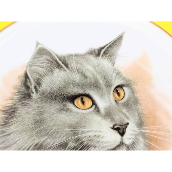 White Porcelain Cat Portrait Plate | Kitty Picture Yellow Border Collectible 10" - Picture 3 of 10
